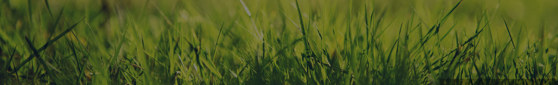 page_banner